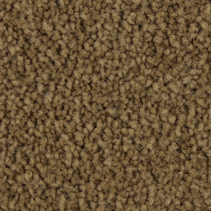 Coastal Fashion Ii Wild Cattail Nylon Carpet - Textured