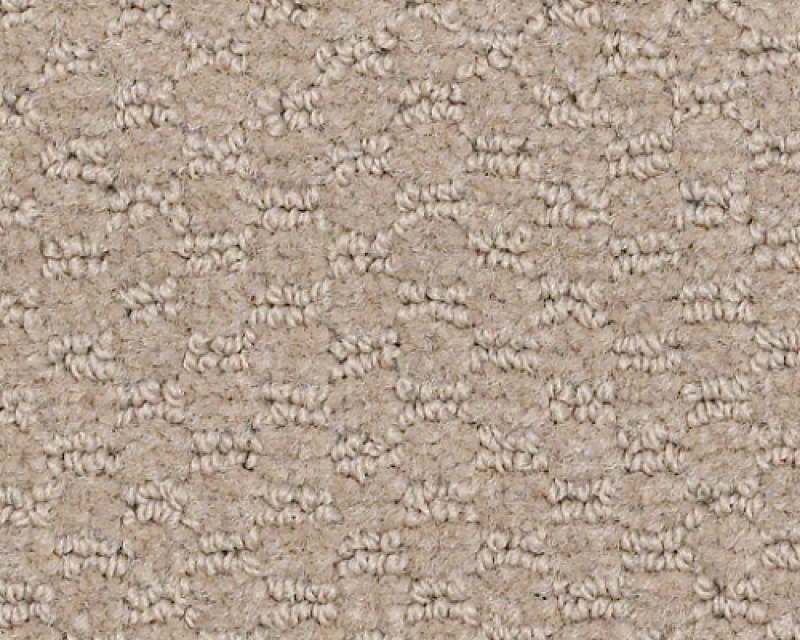 Latest Trend Boulder Nylon Carpet - Pattern