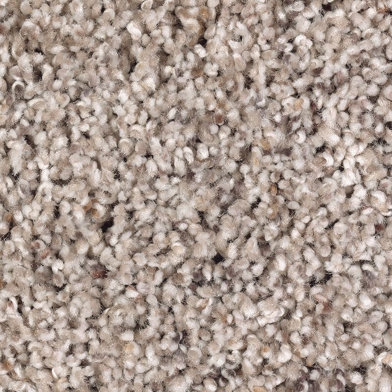 Soft Sensations I Sierra Polyester Carpet - Textured