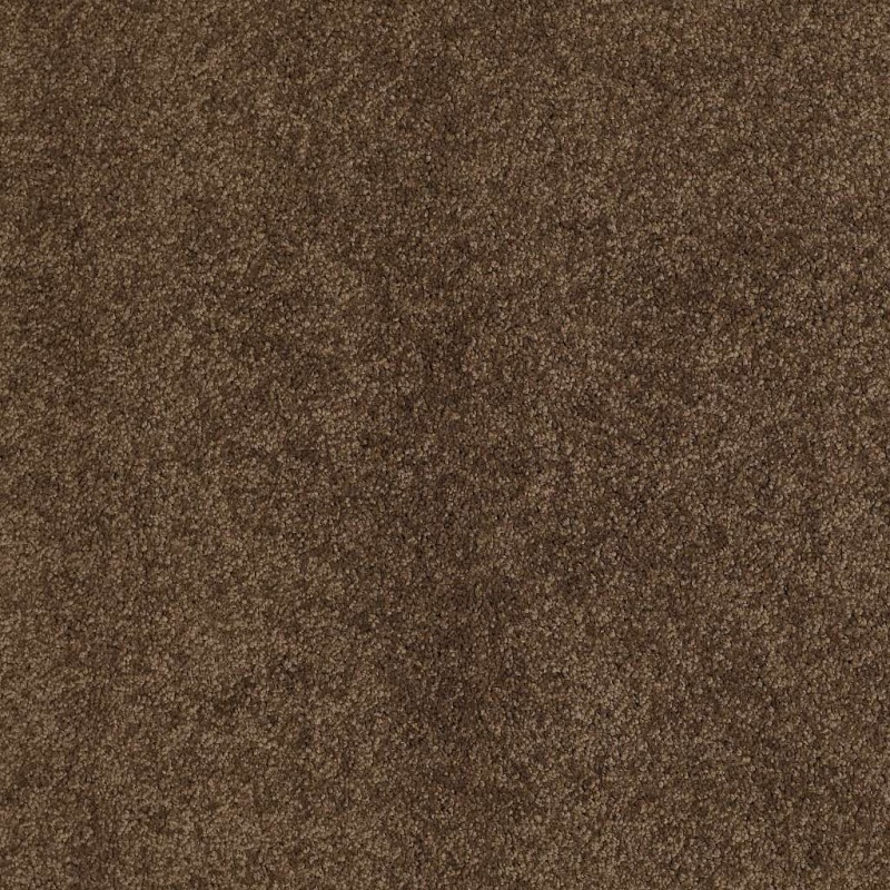 Caress By Shaw Quiet Comfort Classic I Bison Nylon Carpet - Textured