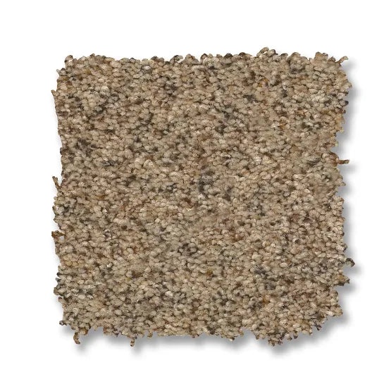 Reawaken Topanga Canyon Terrazzo Nylon Carpet - Textured