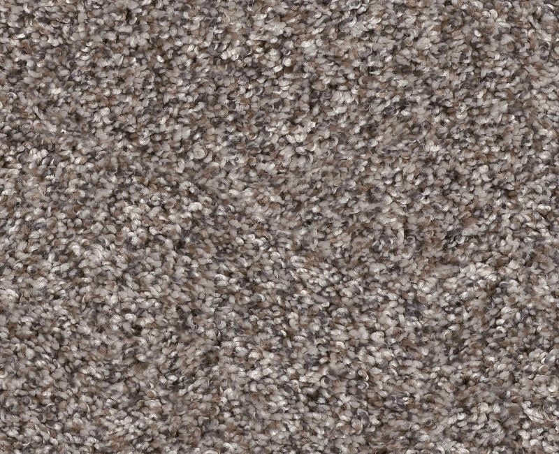 Yes You Can Ada Ii 12 Alaskan Air Polyester Carpet - Textured