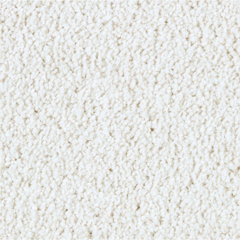Exquisite Attraction Luxury Triexta Carpet - Textured