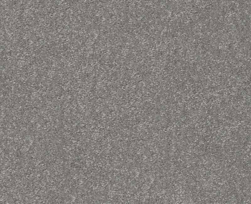 Pet Perfect Hard At Play Ii 15' Vintage Polyester Carpet - Textured