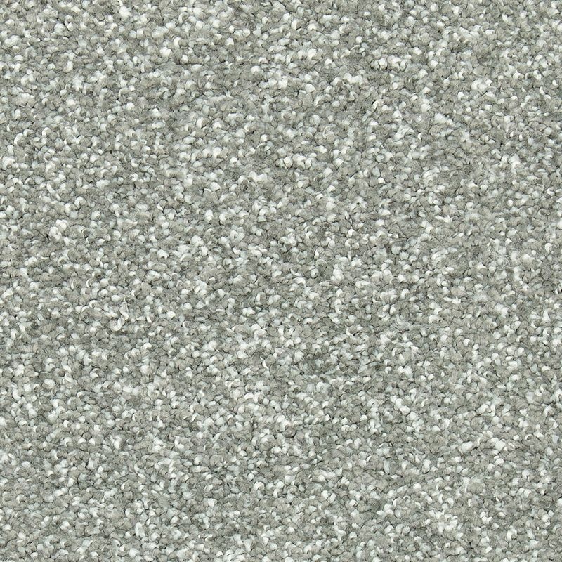 Natural Refinement I Evening Shadow Triexta Carpet - Textured