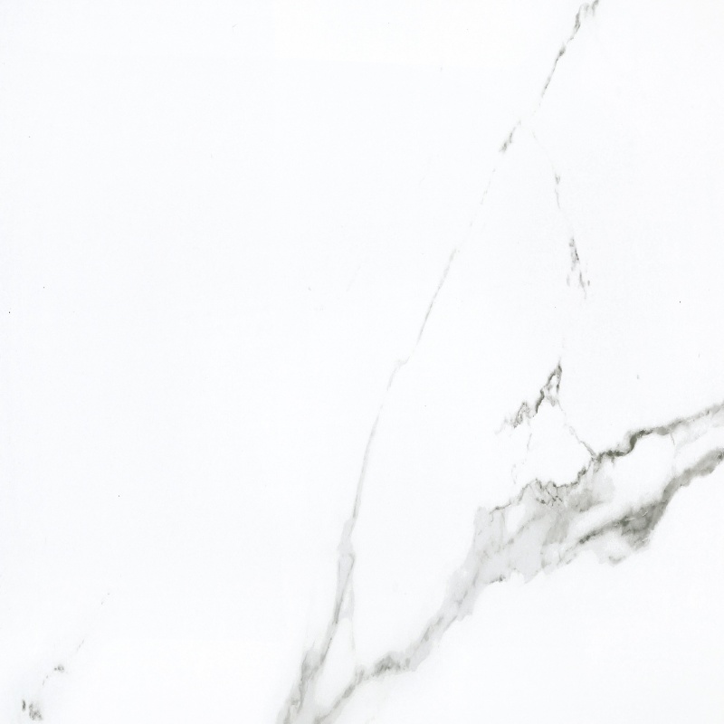 Calacatta Porcelain Tile - Matte - 24" x 24"