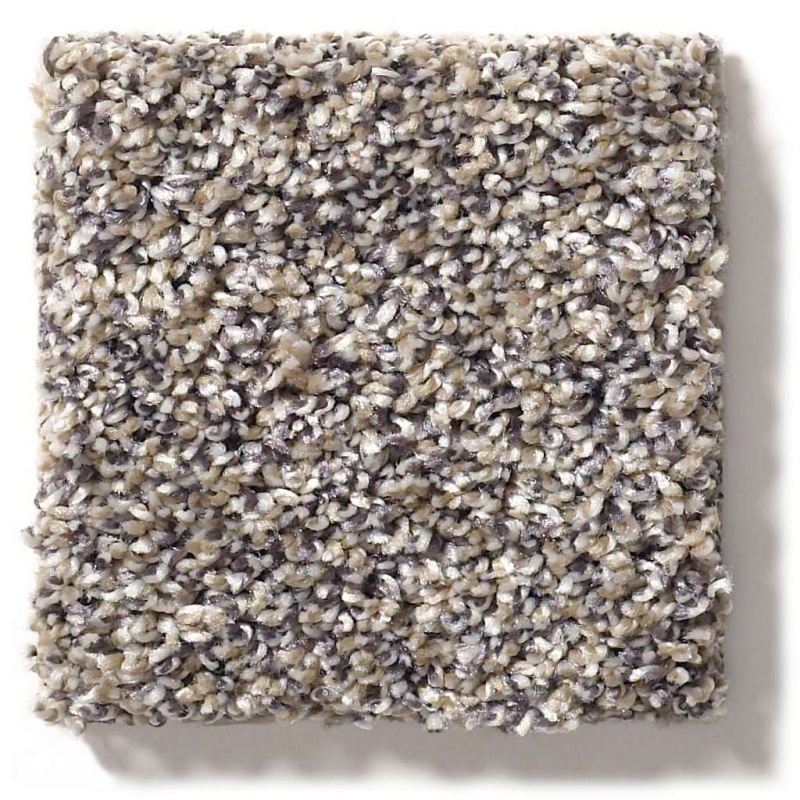 Simply The Best After It Ii Reflection Polyester Carpet - Textured