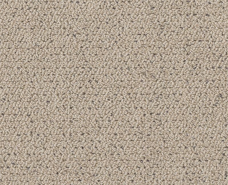 Without A Trace Warm Light Polyester Carpet - Textured