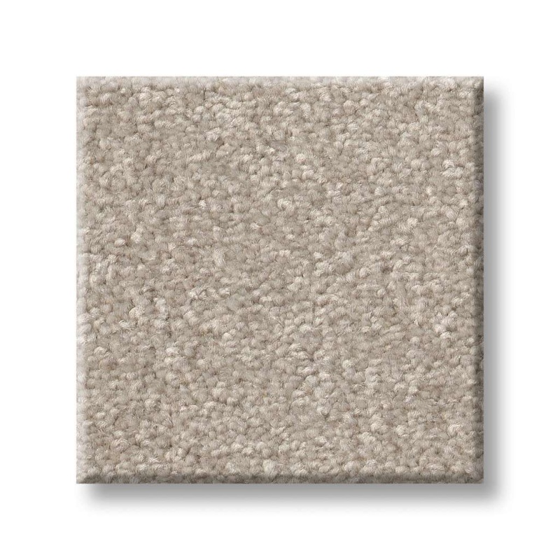 Pet Perfect Hard At Play Iii 12' Soft Sense Polyester Carpet - Textured