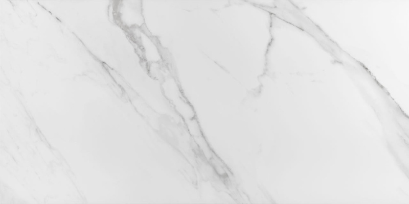 Place Polished Porcelain Tile - Polished - 24" X 48"
