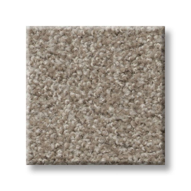 That’s Right Cocoa Nylon Carpet - Textured