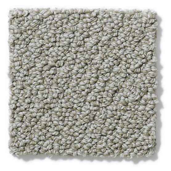 Pet Perfect On Point Graystone Nylon Carpet - Loop