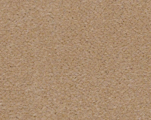 Emphatic II 36 Blondwood Nylon Carpet - Textured