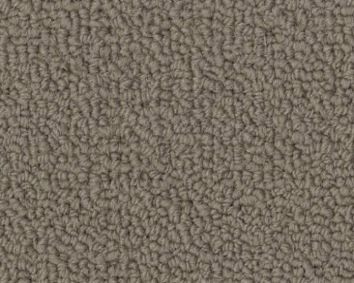 Color Accents Bl Lichen Nylon Carpet - Loop