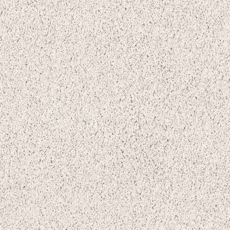 Lonestar Carrera Nylon Carpet - Textured