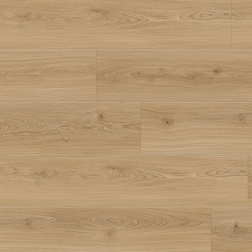 Bear Woods Bianco Romano Laminate Wood Plank Flooring - Embossed - 9 1/4" X 60"
