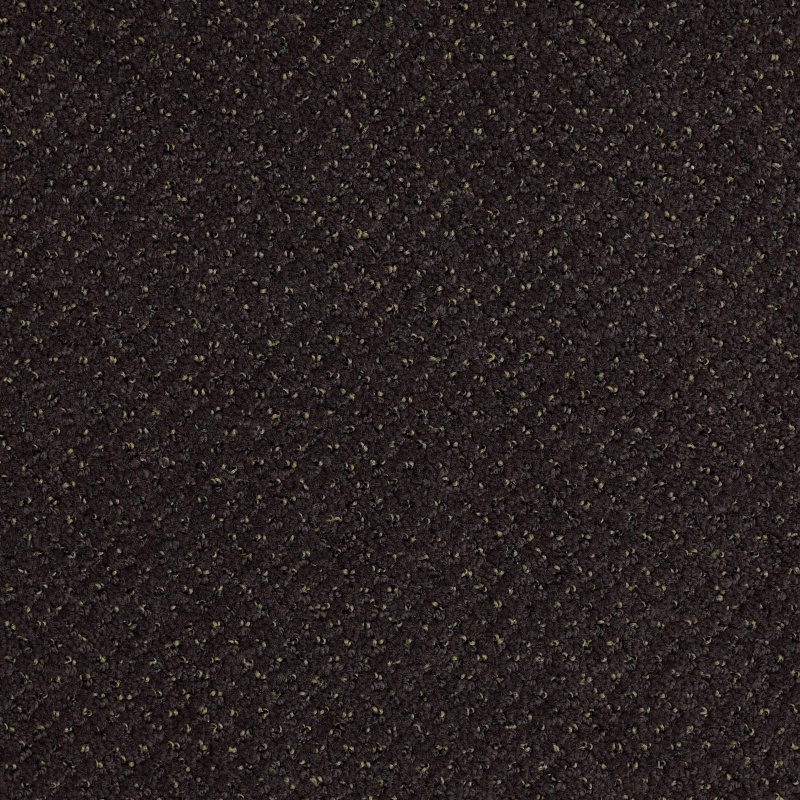 Legend Falls Diamond Head Nylon Carpet - Textured