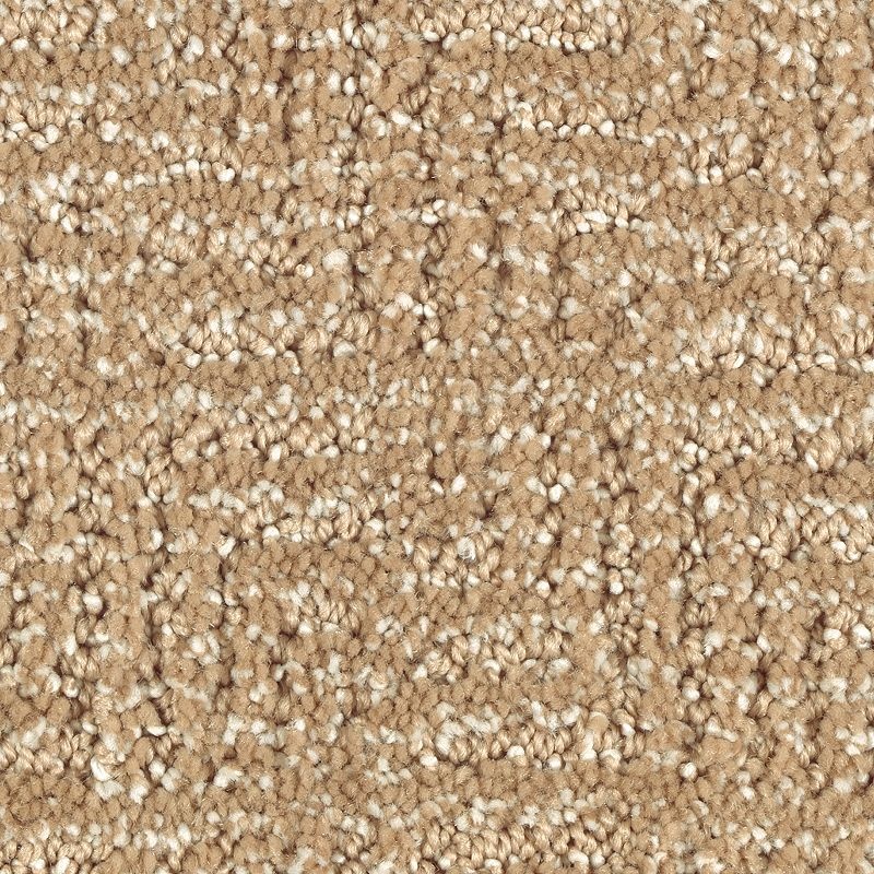 Natural Treasure Glazed Ginger Triexta Carpet