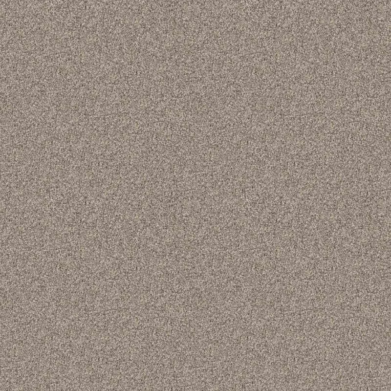 Pet Perfect Influencer Sandstone Polyester Carpet - Textured