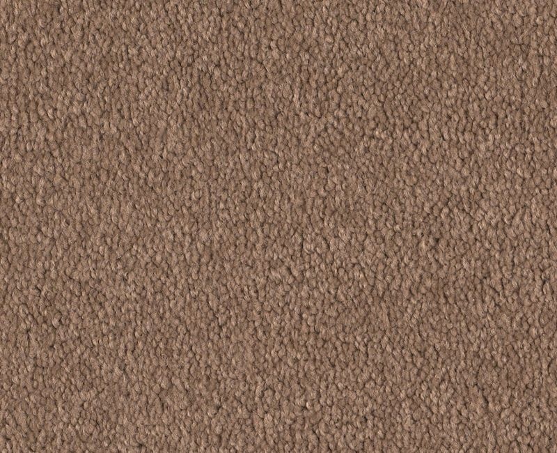 Before Dawn (S) Autumn Shade Nylon Carpet - Textured