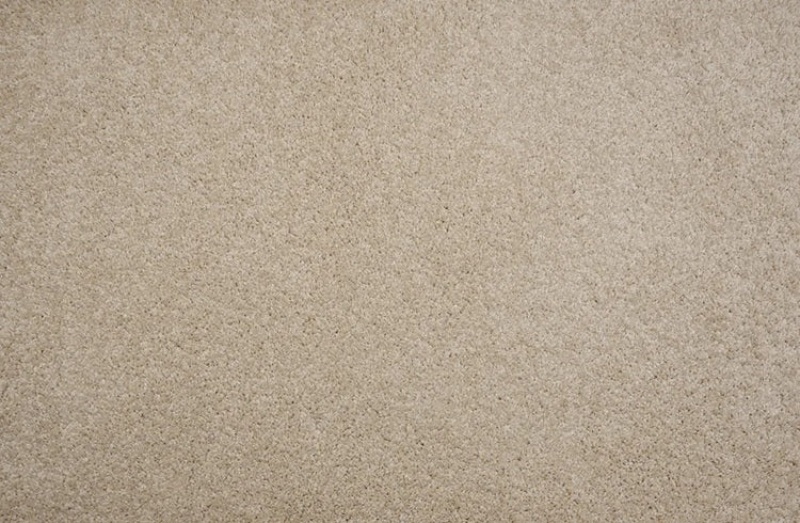 Pet Guard Leland Alabaster Solution Dyed Polyes Carpet - Plush