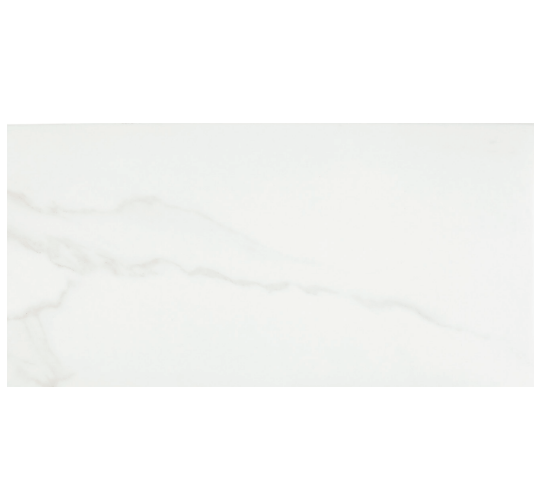 Artsy Studio Carrara Porcelain Tile - Polished - 12" X 24"