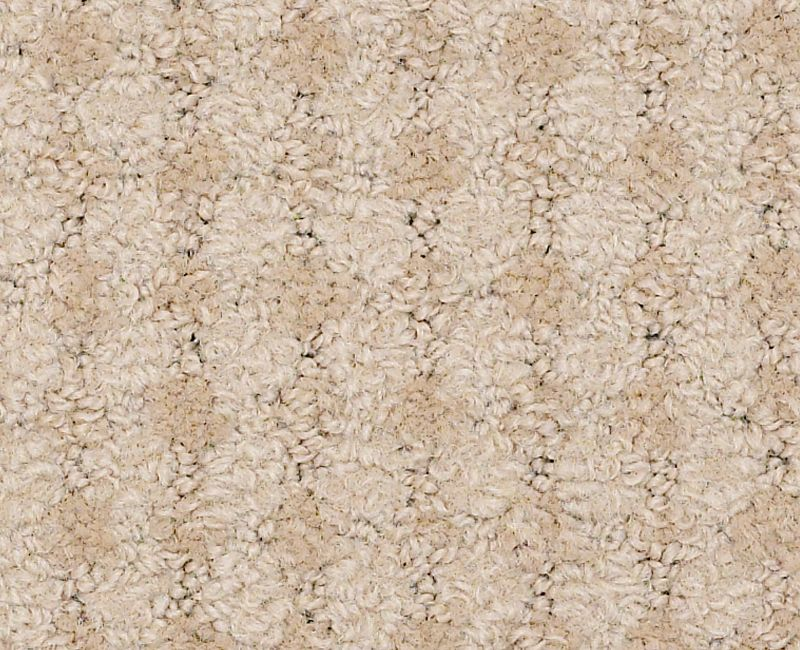 Hettinger Theatre Center Nylon Carpet - Pattern