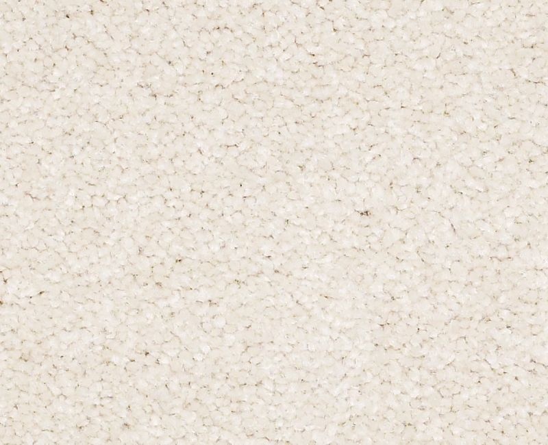 Endura I Mushroom Nylon Carpet