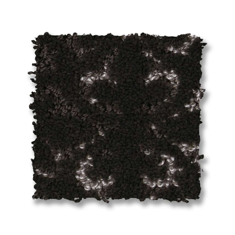 Pet Perfect Plus Light Impressions Cafe Noir Polyester Carpet