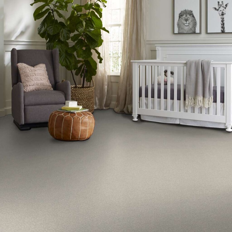 Caress By Shaw Quiet Comfort Classic I Sterling Nylon Carpet - Textured