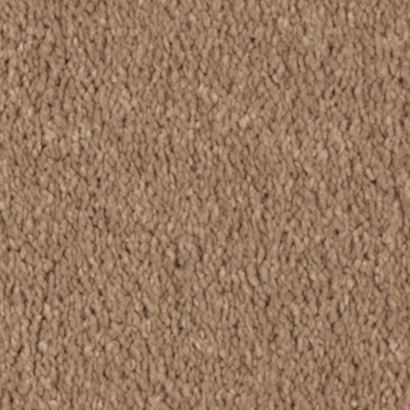 Natural Splendor I Glazed Ginger Triexta Carpet - Textured