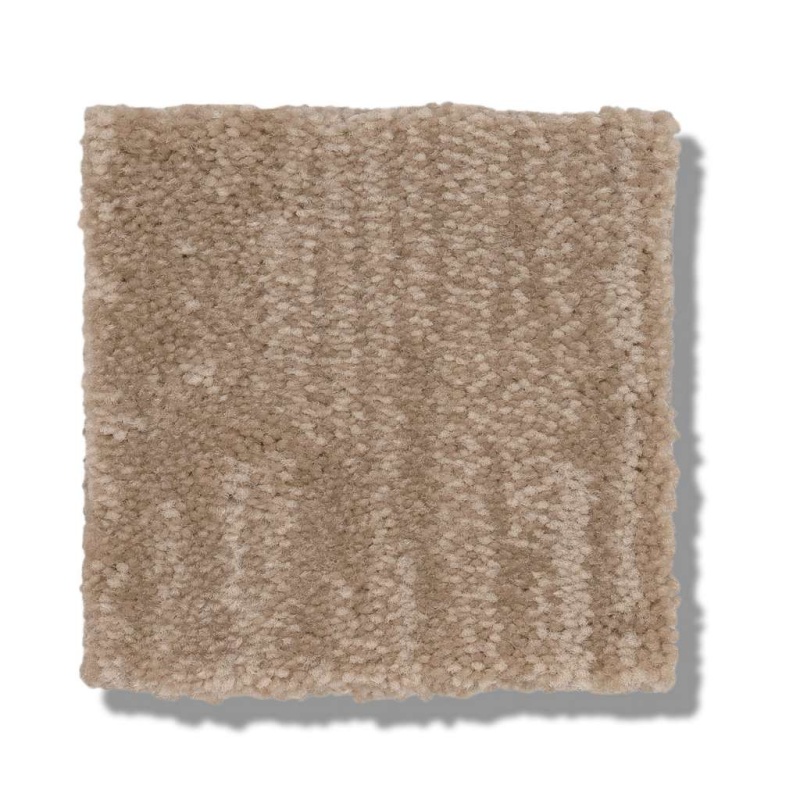Caress By Shaw Insightful Journey Natural Beauty Nylon Carpet - Pattern