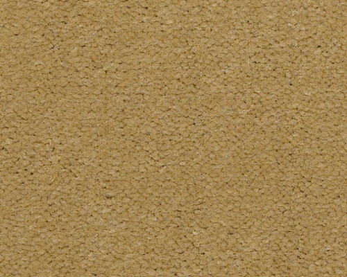 Emphatic Ii 36 Honeywheat Nylon Carpet - Textured