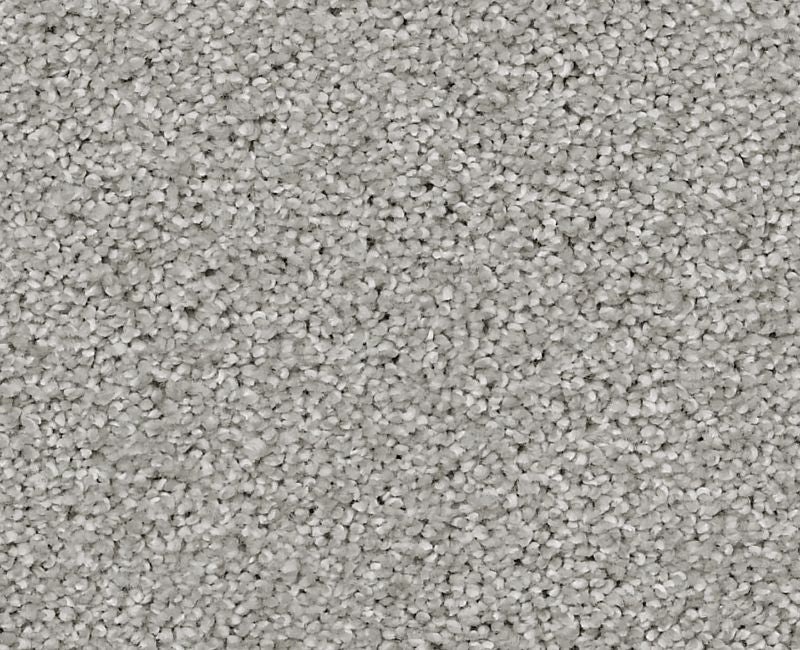 Always On Time Vapor Nylon Carpet - Textured
