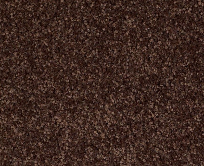 Playa Blanca Apple Butter Nylon Carpet - Textured