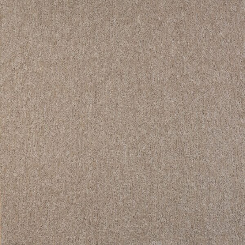 Visionary Delicacy Polypropylene Carpet - Pattern