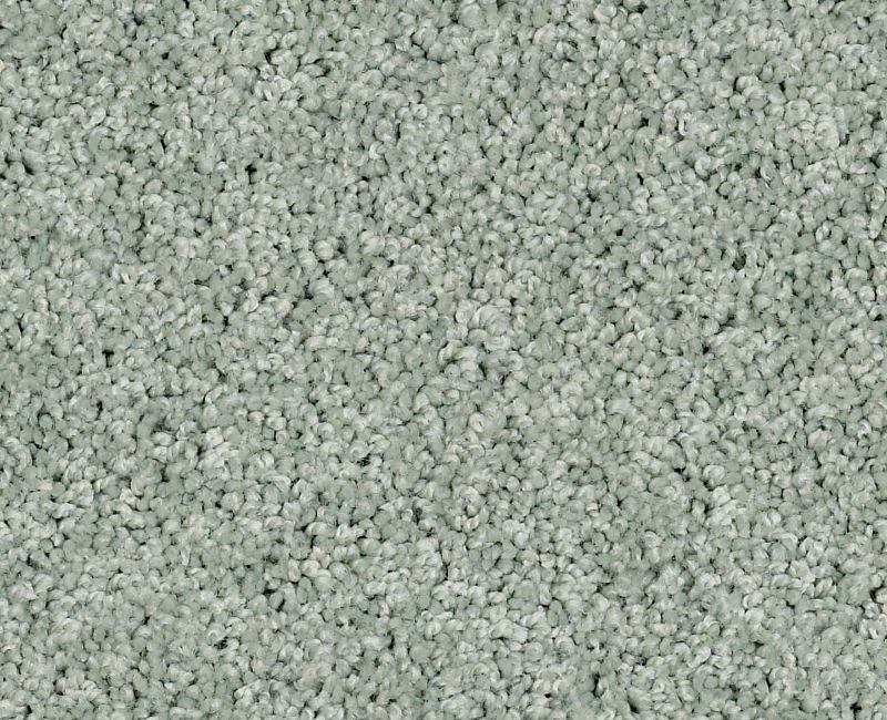 Orlando PV Daydream Nylon Carpet - Textured