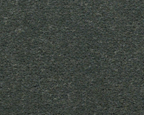 Emphatic Ii 30 Hedge Nylon Carpet - Textured