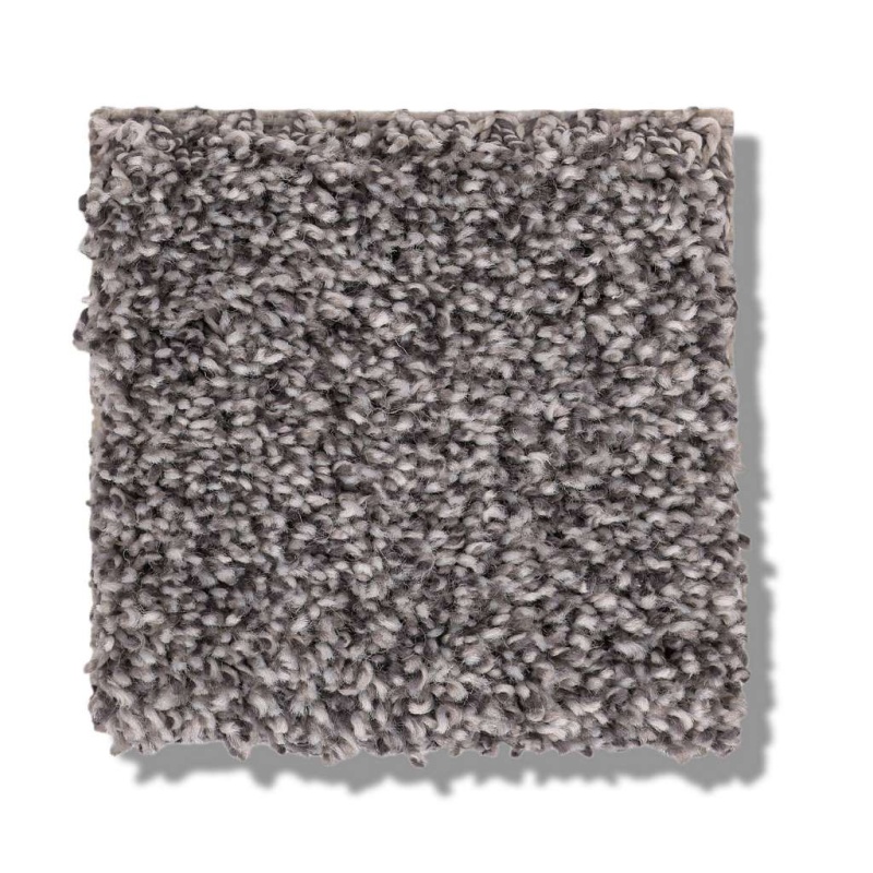 Pet Perfect Plus Calm Simplicity Ii Silver Lining Polyester Carpet - Textured