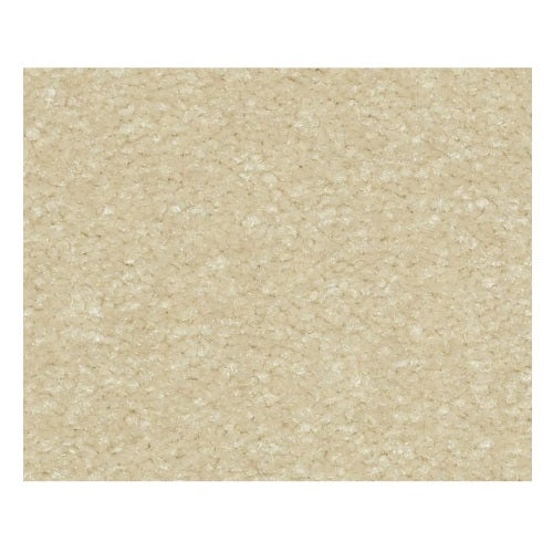 Qs233 I 12' Cream Nylon Carpet - Textured