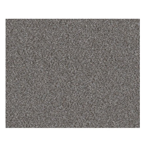 Without Limits I Silver Spoon Polyester Carpet - Textured