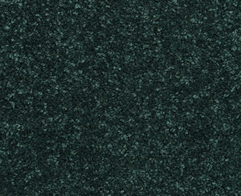 Nantucket Summer 15' Polo Polyester Carpet - Textured