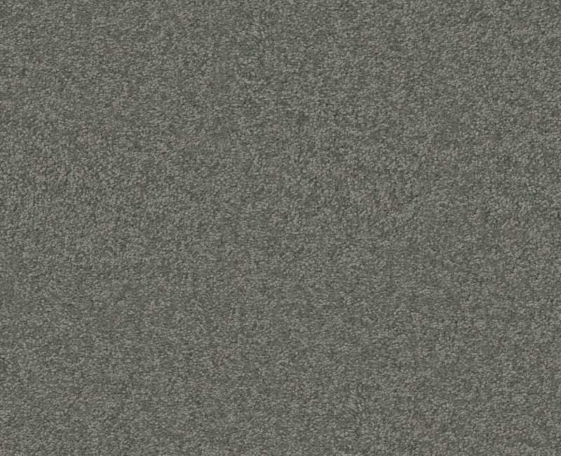 Magic Happens PV IV Aluminum Nylon Carpet - Textured