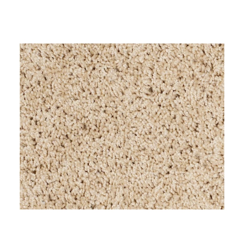 Butterfly Kisses 1 Soft Ecru Nylon Carpet - Textured