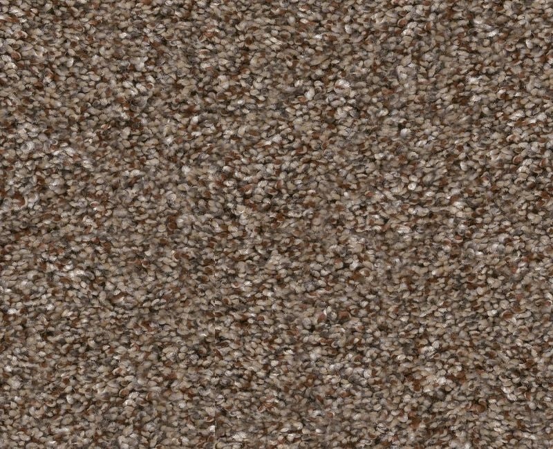 Yes You Can Ada Ii 12 Worn Path Polyester Carpet - Textured