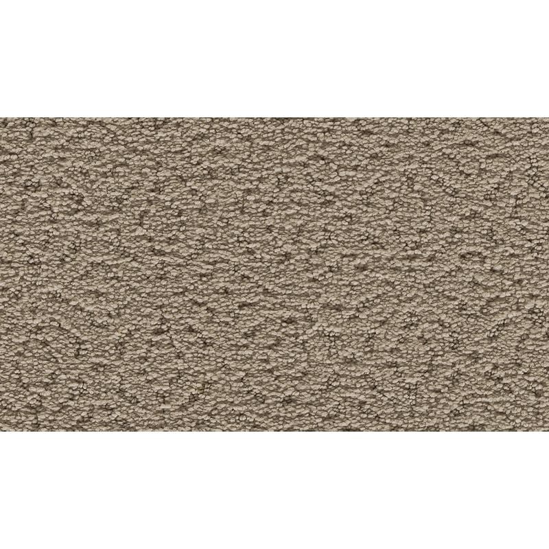 Exquisite Charm Forest Twilight Triexta Carpet