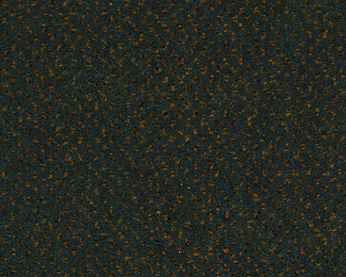 Future Generations Communicators Nylon Carpet - Textured