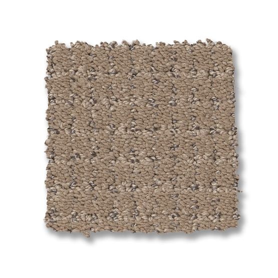 Reawaken Lyric Camelback Nylon Carpet - Loop