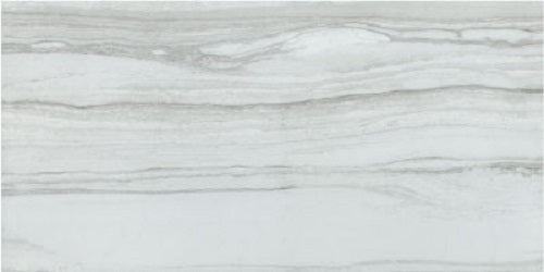 Serpentino Blanco Porcelain Tile - Matte - 12" X 24"