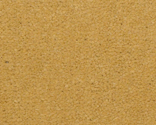 Emphatic Ii 36 Sunflower Nylon Carpet - Textured